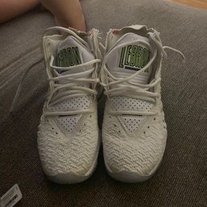 LeBron basketball shoes